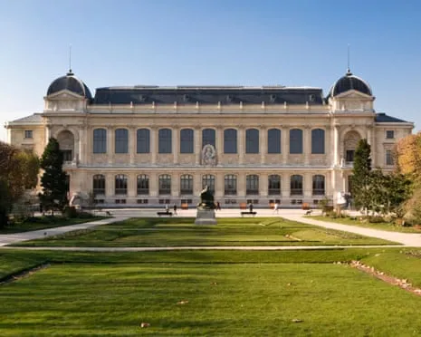 Priceless Golden Pieces Stolen in Audacious Heist at France's Natural History Museum